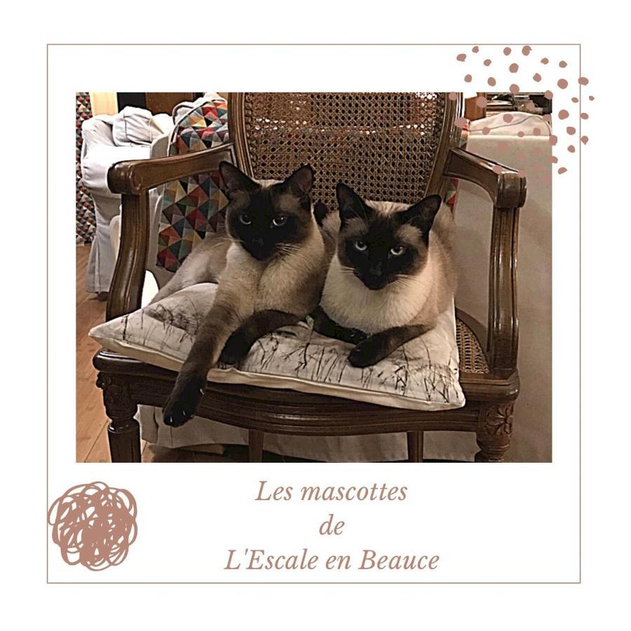 Bed and Breakfast L Escale En Beauce à Maisons  Extérieur photo